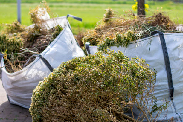 Best Furniture Removal  in Grosse Pointe Park, MI